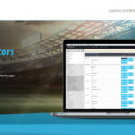 DGS Sports Betting Software Review